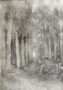 tutkimus Grove of Treesista hiilellä